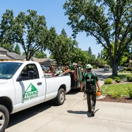 3D Tree Services truck arriving at a Chino residential job
