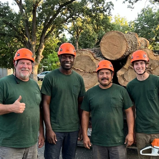 3D Tree tree crew with a truck loaded with oak logs in Chino