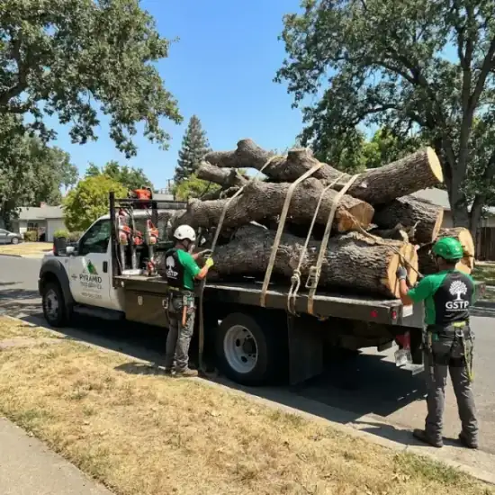 Tree service truck loaded with branches after a Chino job